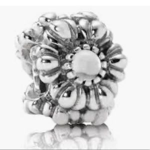 Pandora Silver April Birthstone Flower Charm
